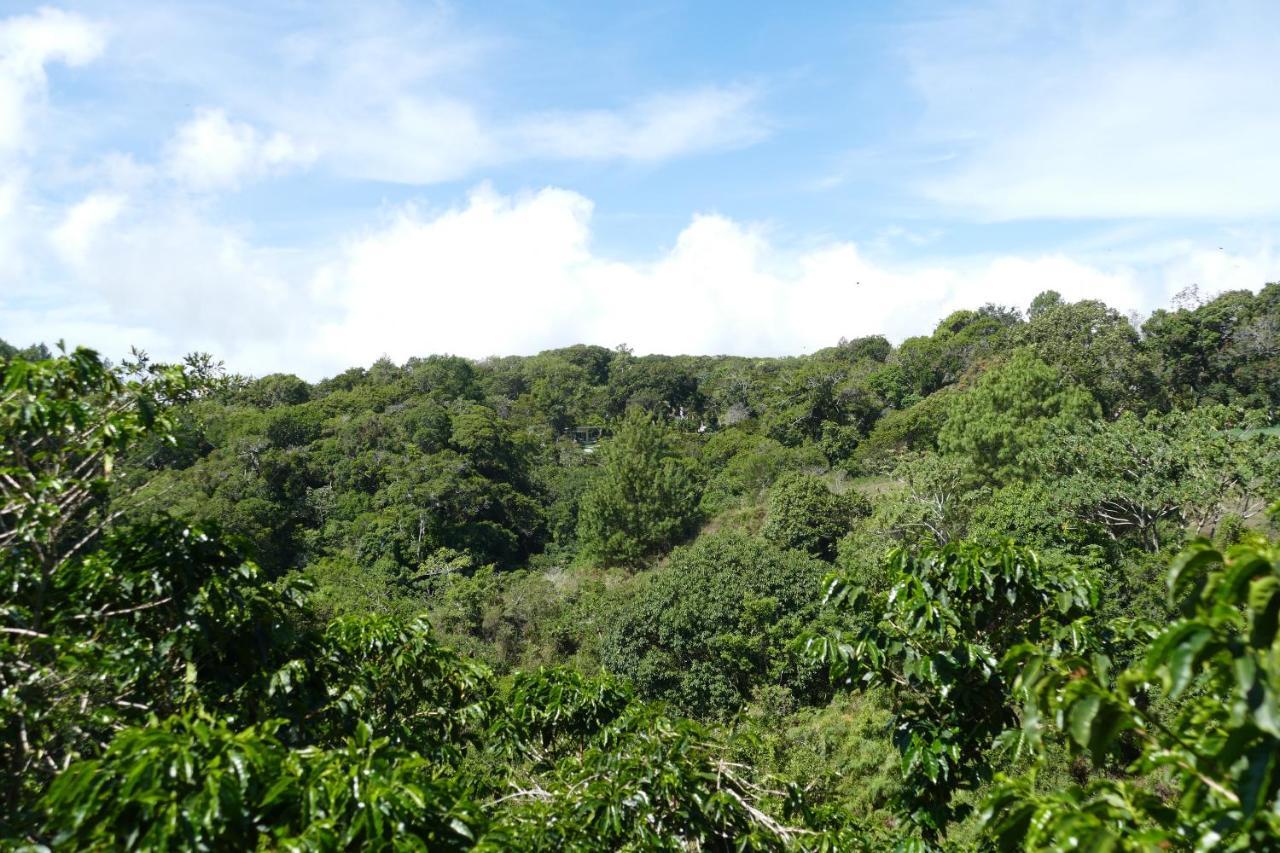 Casitas Vista Verde Bajo Boquete Dış mekan fotoğraf