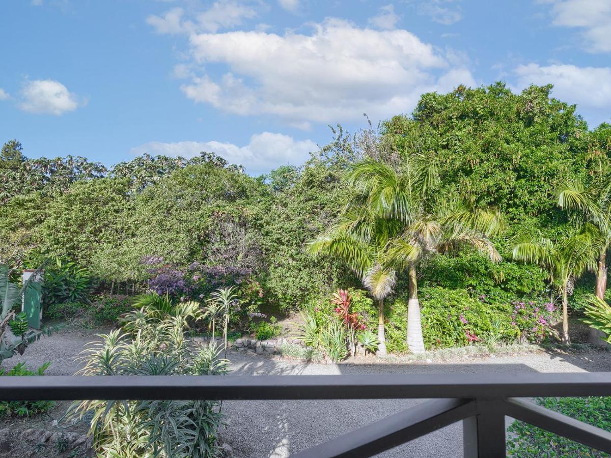 Casitas Vista Verde Bajo Boquete Dış mekan fotoğraf