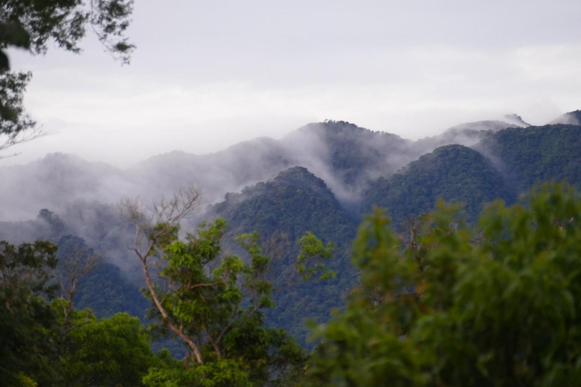 Casitas Vista Verde Bajo Boquete Dış mekan fotoğraf