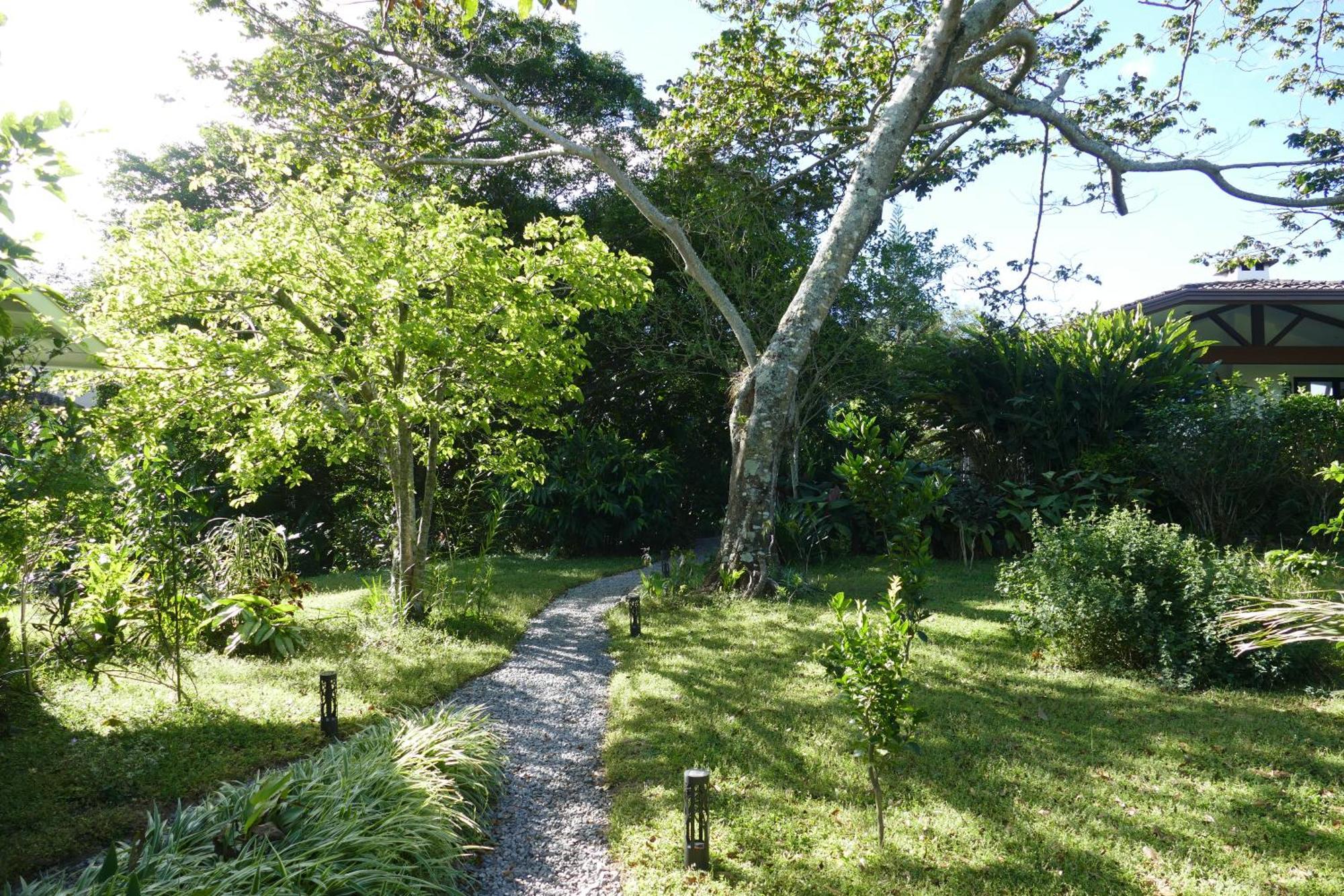 Casitas Vista Verde Bajo Boquete Dış mekan fotoğraf