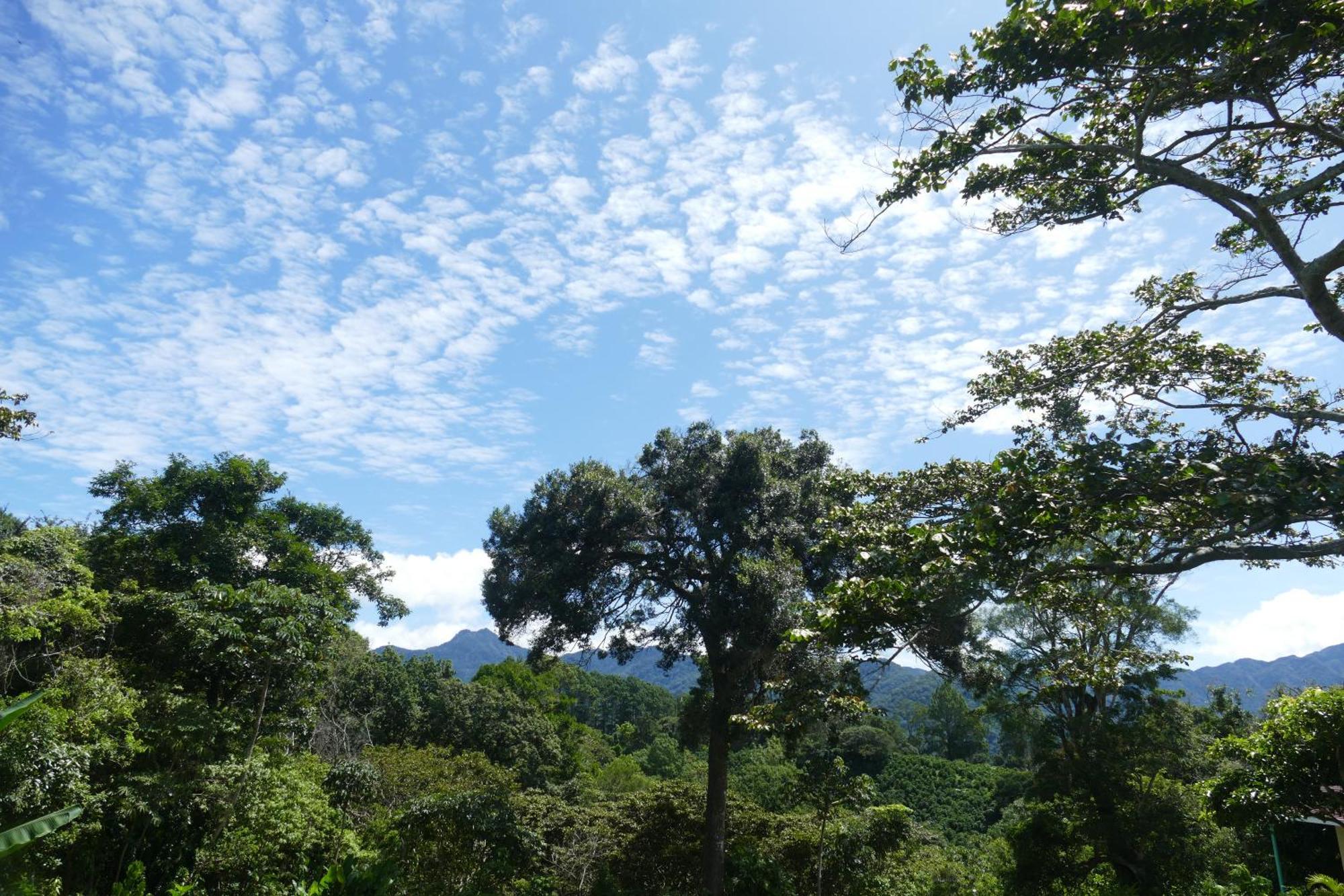 Casitas Vista Verde Bajo Boquete Dış mekan fotoğraf